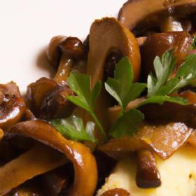 Savoring Polenta with Mushrooms: A Rustic Flavor Journey