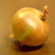 Onions Unveiled: Tasty Recipes with Raw & Cooked Flavor